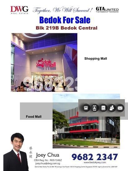 Blk 219B Bedok Central (Bedok), HDB 4 Rooms #139571392